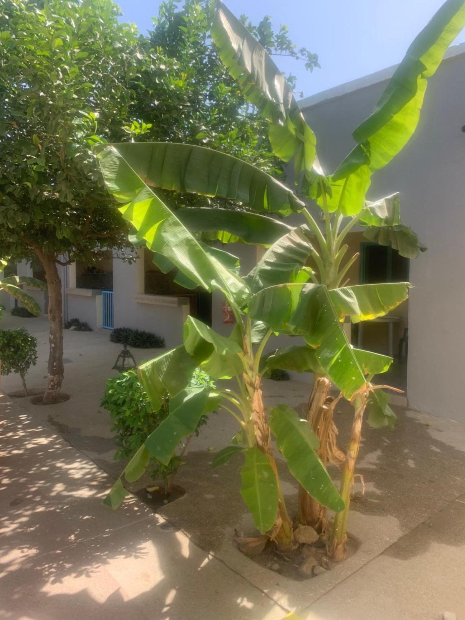 Auberge Keur Ely Ouoran Dış mekan fotoğraf